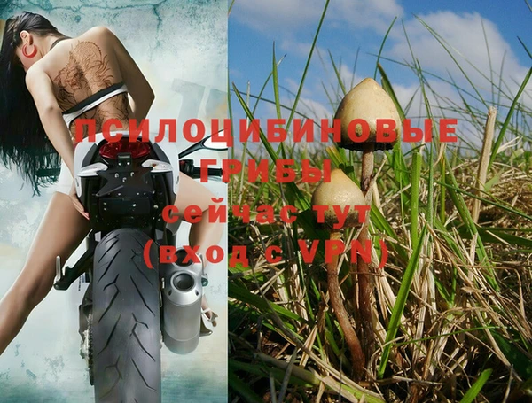 дурь Заводоуковск