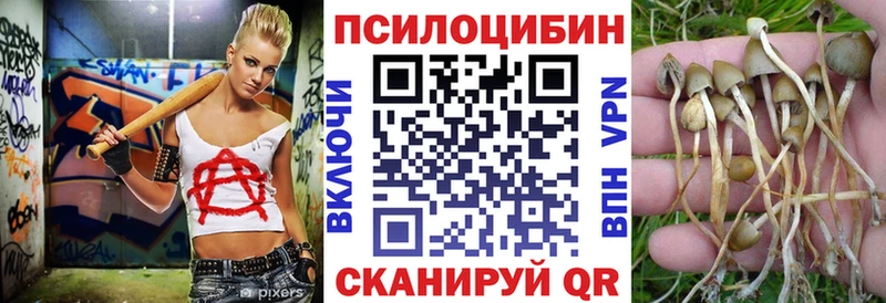 Купить где  Серов  Псилоцибиновые грибы GOLDEN TEACHER 